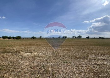 Giardino - Rustico Santeramo in Colle - foto 11