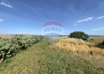 Giardino - Rustico Santeramo in Colle - foto 12