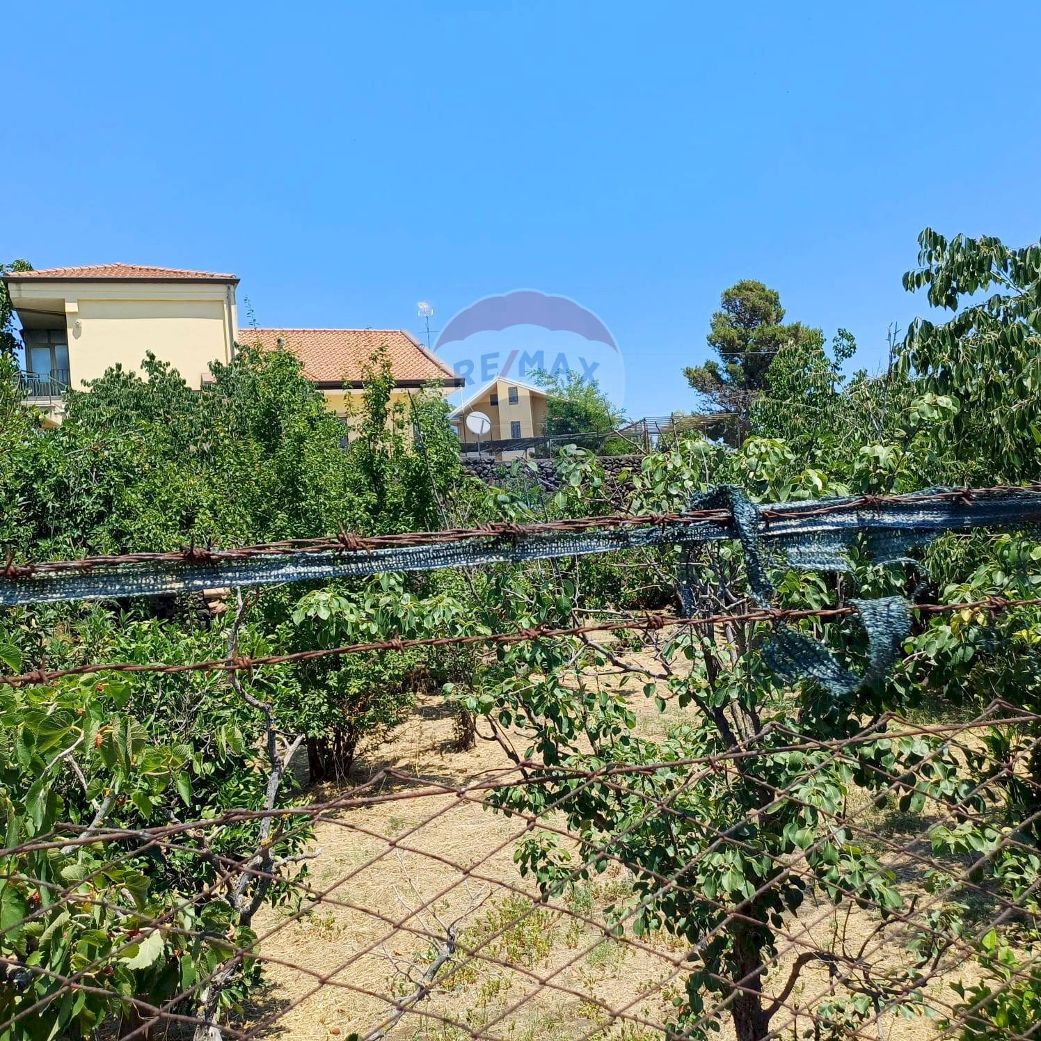 Giardino - Terreno edificabile Via Gesualdo Bufalino
 
snc, Aci Sant'Antonio - foto 3