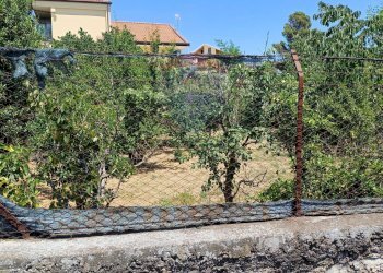 Giardino - Terreno edificabile Via Gesualdo Bufalino
snc, Aci Sant'Antonio - foto 4