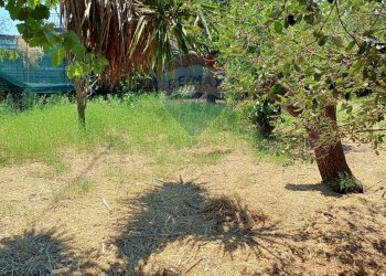Giardino - Terreno edificabile Via Gesualdo Bufalino
snc, Aci Sant'Antonio - foto 6