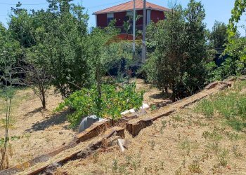 Giardino - Terreno edificabile Via Gesualdo Bufalino
snc, Aci Sant'Antonio - foto 10