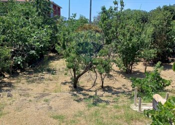 Giardino - Terreno edificabile Via Gesualdo Bufalino
snc, Aci Sant'Antonio - foto 11