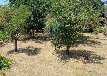 Giardino - Terreno edificabile Via Gesualdo Bufalino
snc, Aci Sant'Antonio - foto 12