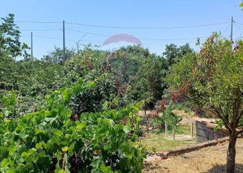 Giardino - Terreno edificabile Via Gesualdo Bufalino
snc, Aci Sant'Antonio - foto 14