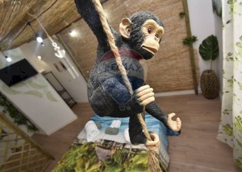 Non correlato - Trilocale Via domenico tempio
 
30, Catania - foto 43