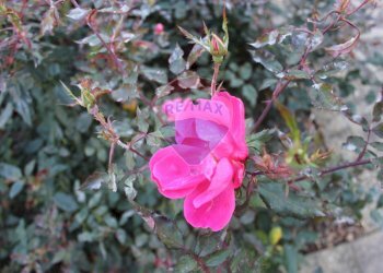 Dettagli - Villa a Schiera via delle mimose
 
6, Reggello - foto 4