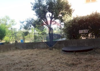 Giardino - Casa semi indipendente VIA MADONNA DEL PONTE
 
20, Fara Filiorum Petri - foto 19