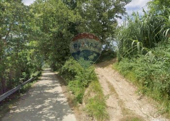 Giardino - Terreno agricolo via colle SAN DONATO
 
83, Fara Filiorum Petri - foto 12
