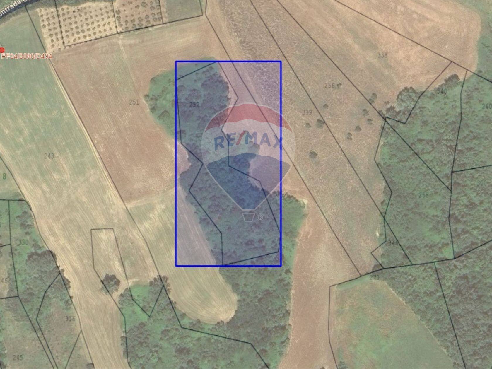 Pianta 2D - Terreno agricolo via colle San Donato, Fara Filiorum Petri - foto 1