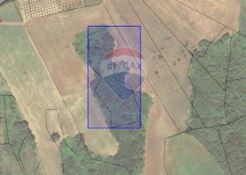Pianta 2D - Terreno agricolo via colle San Donato, Fara Filiorum Petri - foto 1