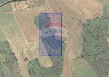 Pianta 2D - Terreno agricolo via colle San Donato, Fara Filiorum Petri - foto 5