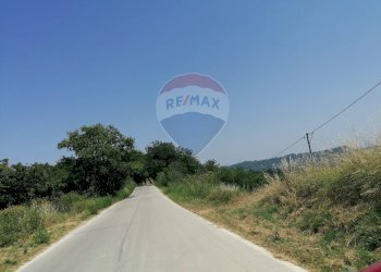 Vista delle montagne - Terreno agricolo via colle San Donato, Fara Filiorum Petri - foto 7
