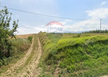 Giardino - Terreno agricolo via colle San Donato, Fara Filiorum Petri - foto 8