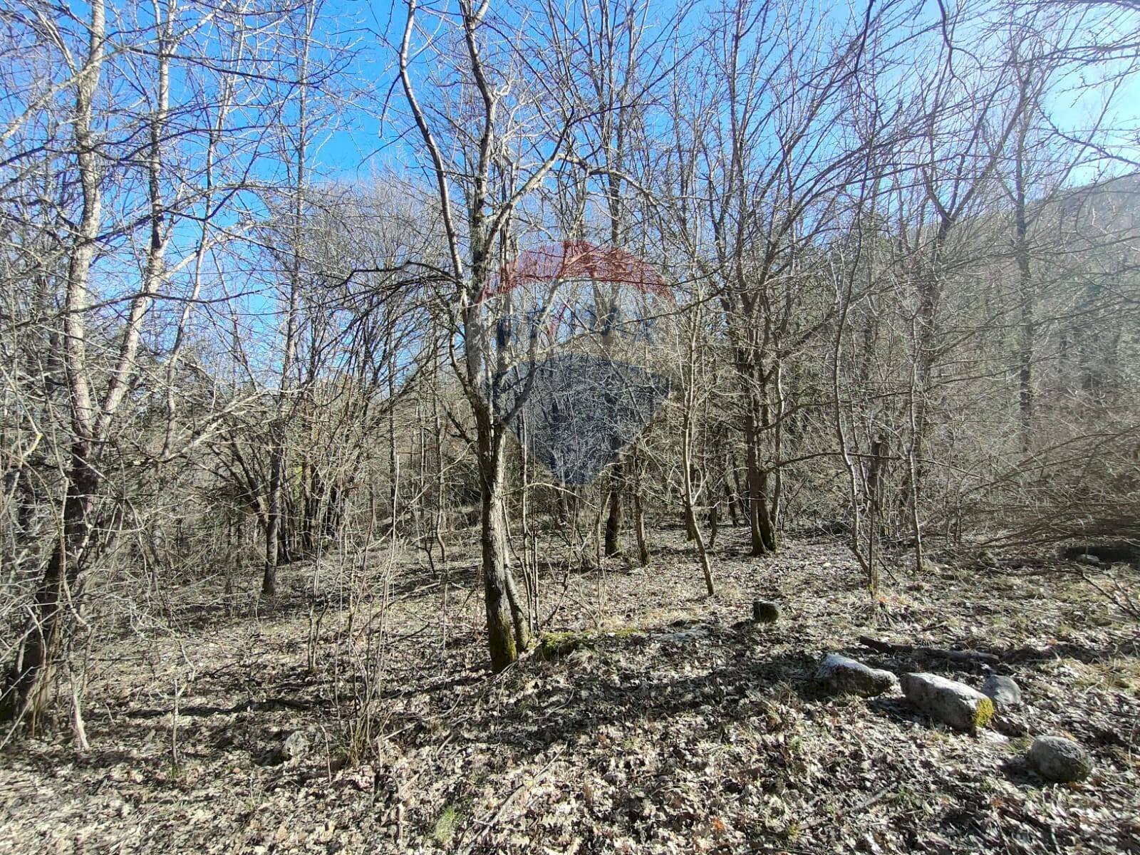 Giardino - Terreno agricolo Via Della Vittoria, Civitella Alfedena - foto 1