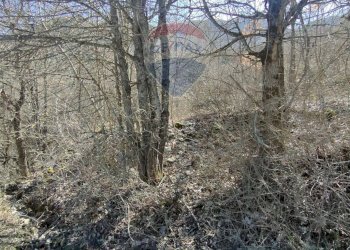 Vista delle montagne - Terreno agricolo Via Della Vittoria, Civitella Alfedena - foto 3