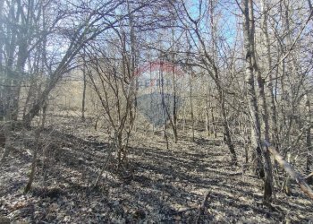 Non correlato - Terreno agricolo Via Della Vittoria, Civitella Alfedena - foto 6