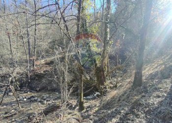 Non correlato - Terreno agricolo Via Della Vittoria, Civitella Alfedena - foto 7