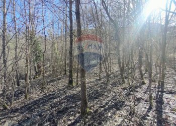 Non correlato - Terreno agricolo Via Della Vittoria, Civitella Alfedena - foto 8