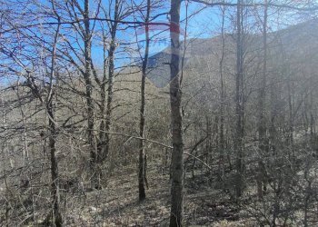 Vista delle montagne - Terreno agricolo Via Della Vittoria, Civitella Alfedena - foto 10