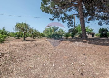 Giardino - Rustico Contrada Sant'Antonino
 
SNC, Comiso - foto 19