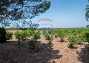 Giardino - Rustico Contrada Sant'Antonino
 
SNC, Comiso - foto 20