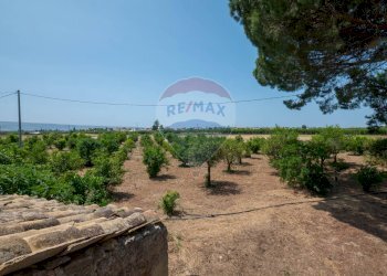 Giardino - Rustico Contrada Sant'Antonino
 
SNC, Comiso - foto 23