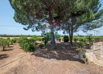 Giardino - Rustico Contrada Sant'Antonino
 
SNC, Comiso - foto 24