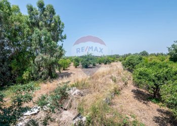 Giardino - Rustico Contrada Sant'Antonino
 
SNC, Comiso - foto 31