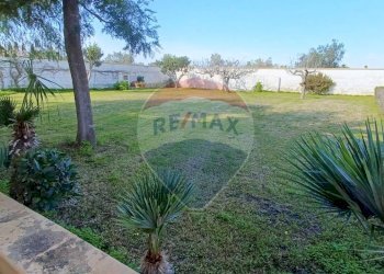 Giardino - Villa Porto Cesareo - foto 4