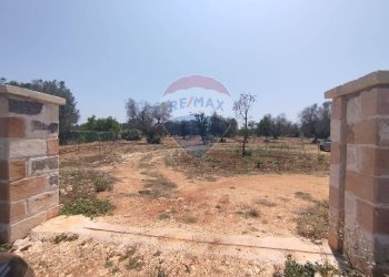 Giardino - Baita Contrada Pupo
 
snc, San Vito dei Normanni - photo 20