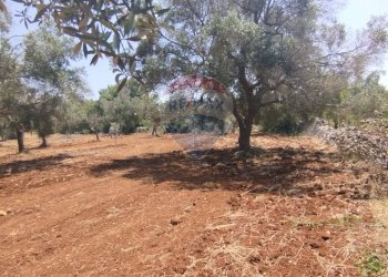 Giardino - Baita Contrada Pupo
 
snc, San Vito dei Normanni - photo 21