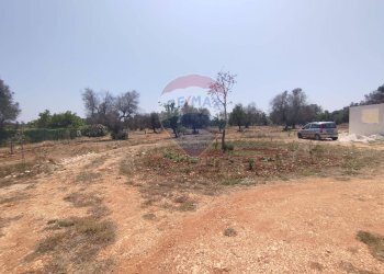 Giardino - Baita Contrada Pupo
 
snc, San Vito dei Normanni - photo 22