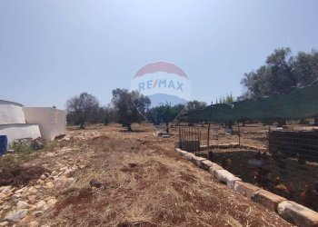 Non correlato - Baita Contrada Pupo
 
snc, San Vito dei Normanni - photo 23