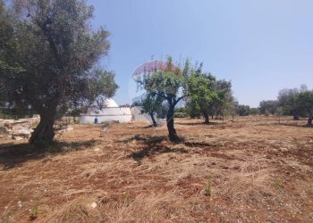 Giardino - Baita Contrada Pupo
 
snc, San Vito dei Normanni - photo 24