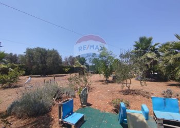 Giardino - Independent house San Vito dei Normanni - photo 29