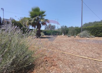 Vista delle montagne - Independent house San Vito dei Normanni - photo 31