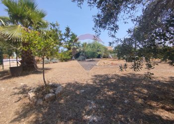 Giardino - Independent house San Vito dei Normanni - photo 32