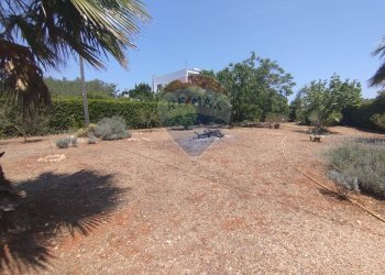 Giardino - Independent house San Vito dei Normanni - photo 33