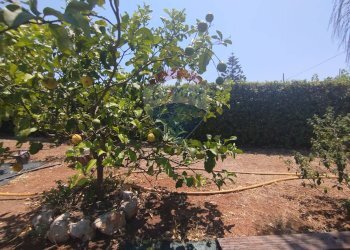 Giardino - Independent house San Vito dei Normanni - photo 34