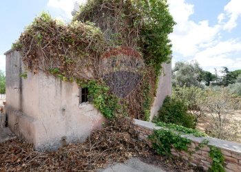 Giardino - Independent house Contrada Sette Torri
 
Snc, Giovinazzo - photo 12