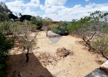 Giardino - Independent house Contrada Sette Torri
 
Snc, Giovinazzo - photo 13