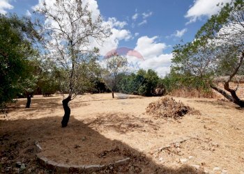 Giardino - Independent house Contrada Sette Torri
 
Snc, Giovinazzo - photo 15