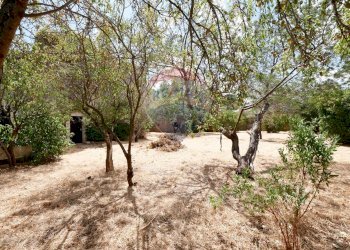 Giardino - Independent house Contrada Sette Torri
 
Snc, Giovinazzo - photo 16