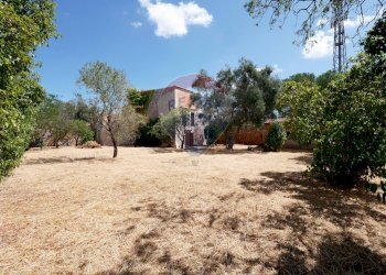 Giardino - Independent house Contrada Sette Torri
 
Snc, Giovinazzo - photo 17