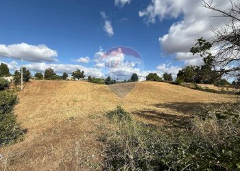 Non correlato - Terreno edificabile Strada Mita, Martina Franca - foto 4