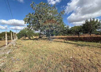 Giardino - Terreno edificabile Strada Mita, Martina Franca - foto 5