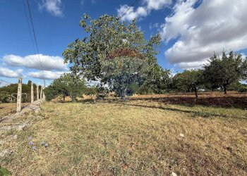 Giardino - Terreno edificabile Strada Mita, Martina Franca - foto 6