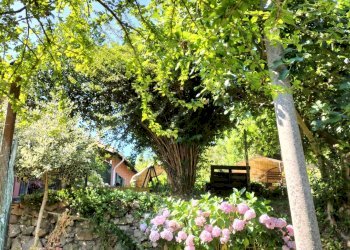 Foto 17 - Semi-detached house via Parodi, Stella - photo 17