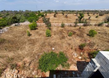 Foto 11 - Rustico Via Marconi, Morciano di Leuca - foto 11